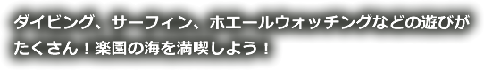 ダイビング、サーフィン、ホエールウォッチングなどの遊びが<br />
たくさん！楽園の海を満喫しよう！